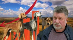 Елімізде таза қанды тазылар жоғалып барады