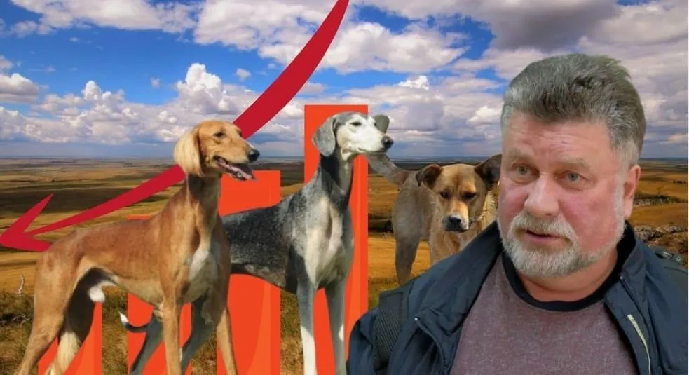 Елімізде таза қанды тазылар жоғалып барады