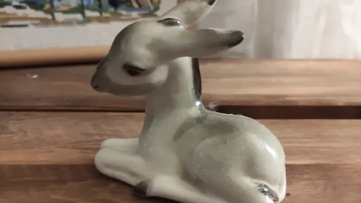 Мы спросили у часто переезжающих людей, что раз за разом они забирают с собой